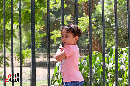 الاحتفال من خلف القضبان.. كورونا لم يمنع الأطفال من بهجة العيد فى حديقة الحيوان (5)