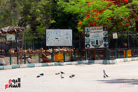 حديقة الحيوان مغلقة بدون زوار