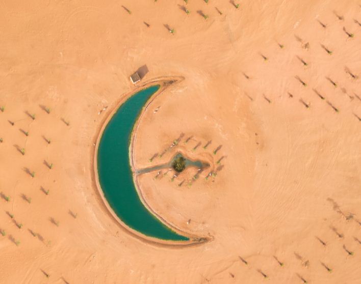 صور البحيرة فى صحراء دبى