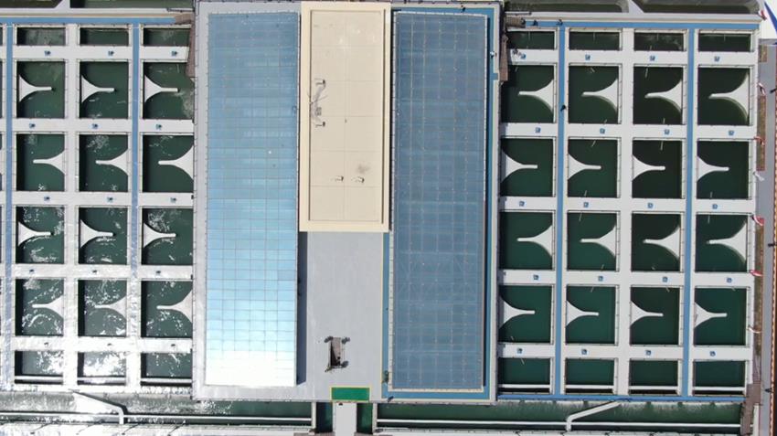 محطة معالجة مياه مصرف المحسمة بسرابيوم (4)