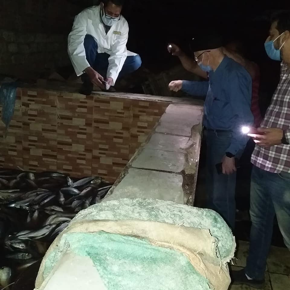 أحواض الرنجة_1 أحواض الرنجة_1
