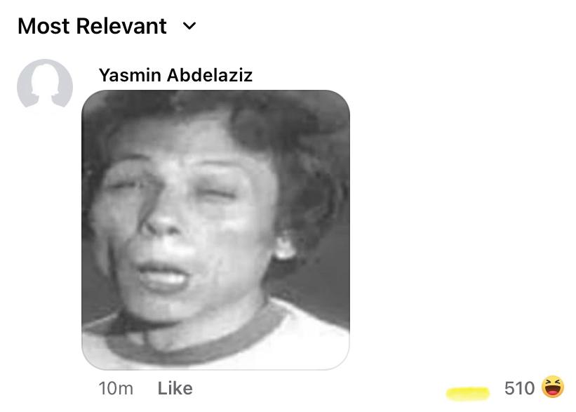 ياسمين عبد العزيز ياسمين عبد العزيز