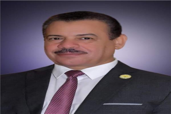 د. عبدالعزيز ططاوي  رئيس جامعة الوادي الجديد
