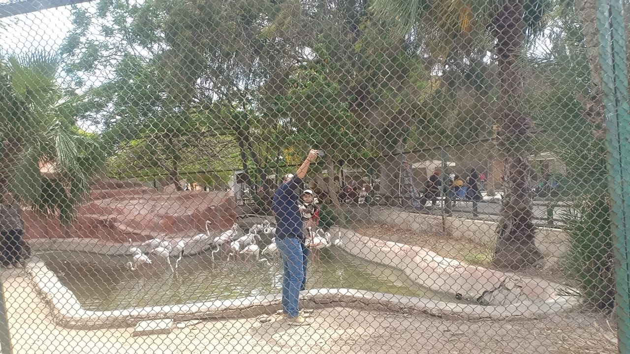حديقة حيوان الإسكندرية تستقبل الزوار (5)