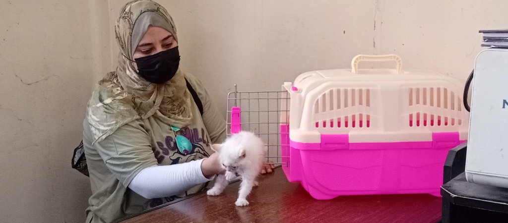 مربية تداعب قطتها من داخل مستشفى الحيوانات الآليفة