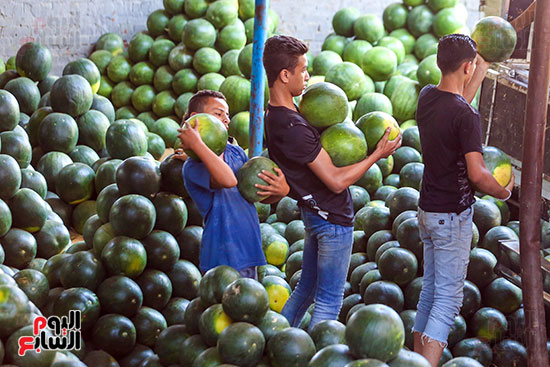 سوق البطيخ بمنطقة الساحل (4)