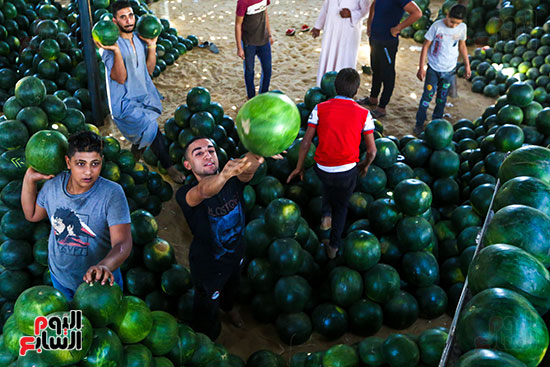 سوق البطيخ بمنطقة الساحل (2)
