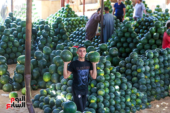 سوق البطيخ بمنطقة الساحل (3)