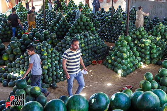 سوق البطيخ بمنطقة الساحل (1)