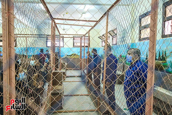 جولة داخل سجن المنيا (37)