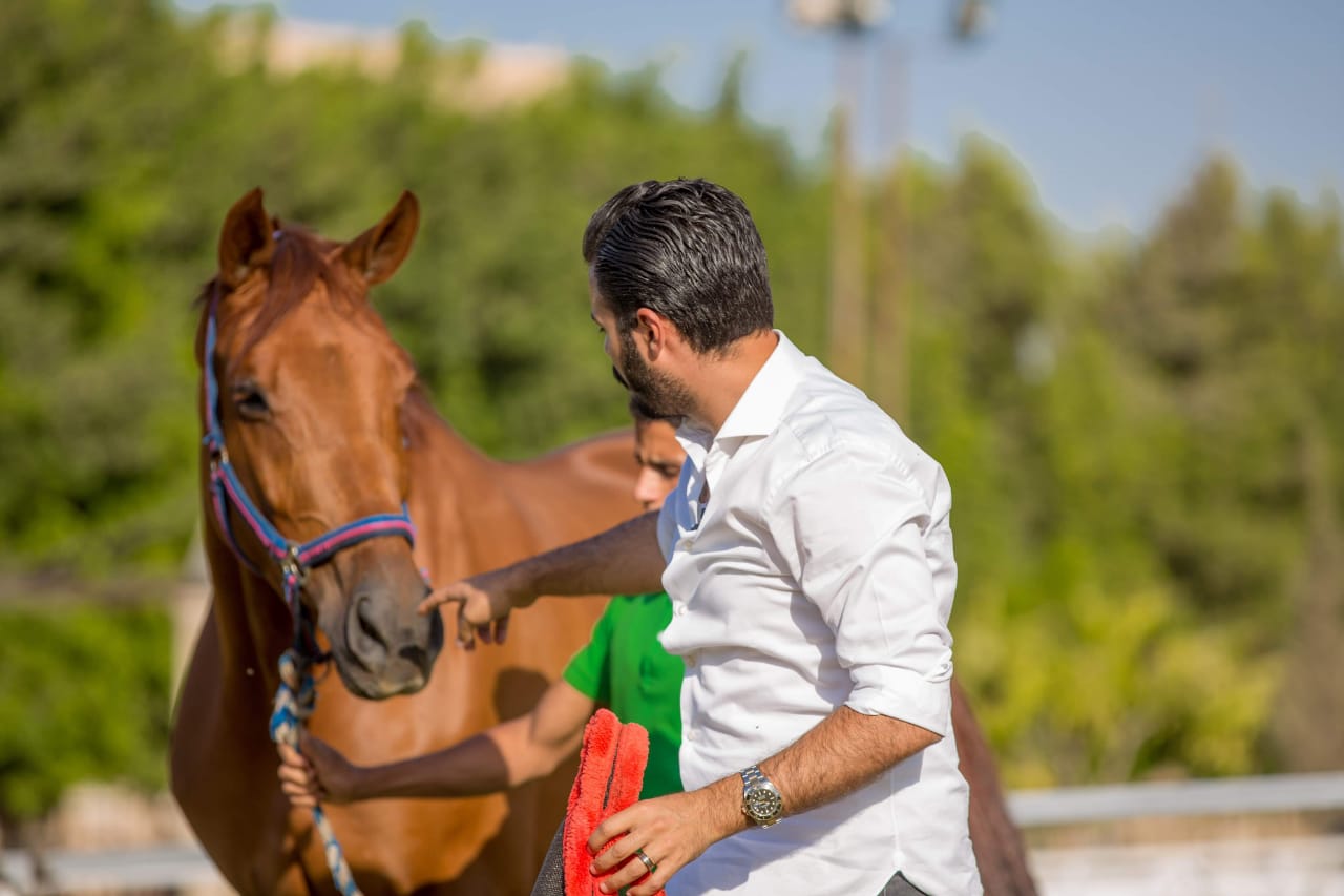 خيول عربية 1