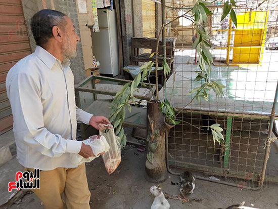 حكاية-العم-سعد-مع-إطعام-القطط