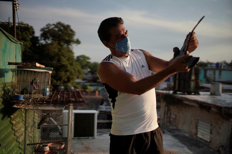 مربي الحمام  بيدرو ماريرو على سطح منزله في هافانا