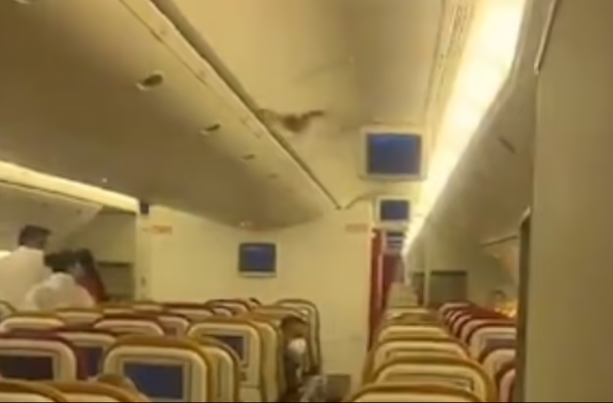الخفاش فى مقصورة الطائرة