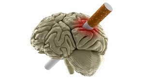 التدخين يؤثر على المخ