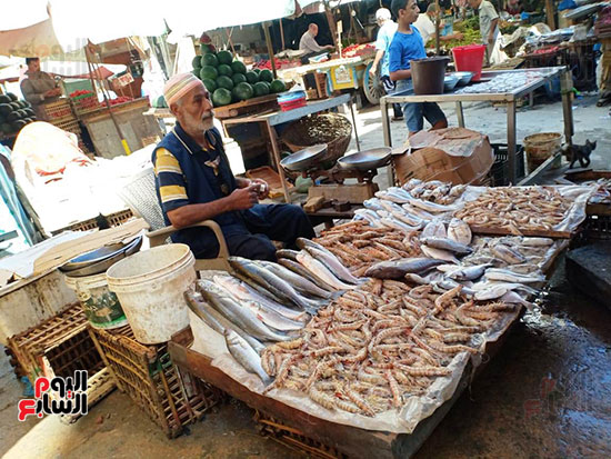 سوق-الميدان-للسمك-بالاسكندرية