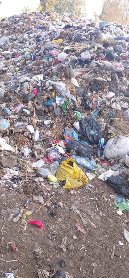 القمامة فى الغربية القمامة فى الغربية