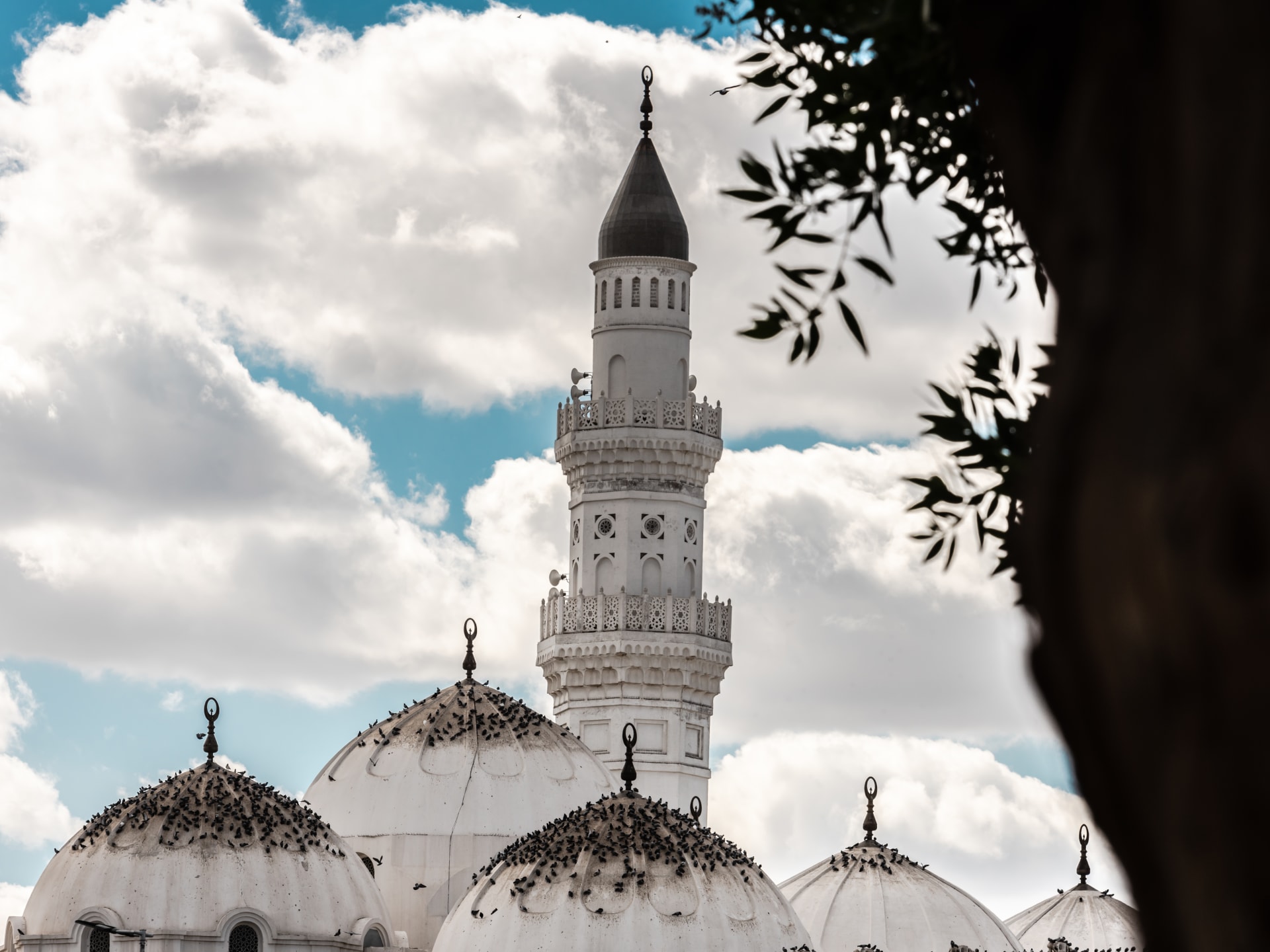 سطح مسجد قباء بالمدينة
