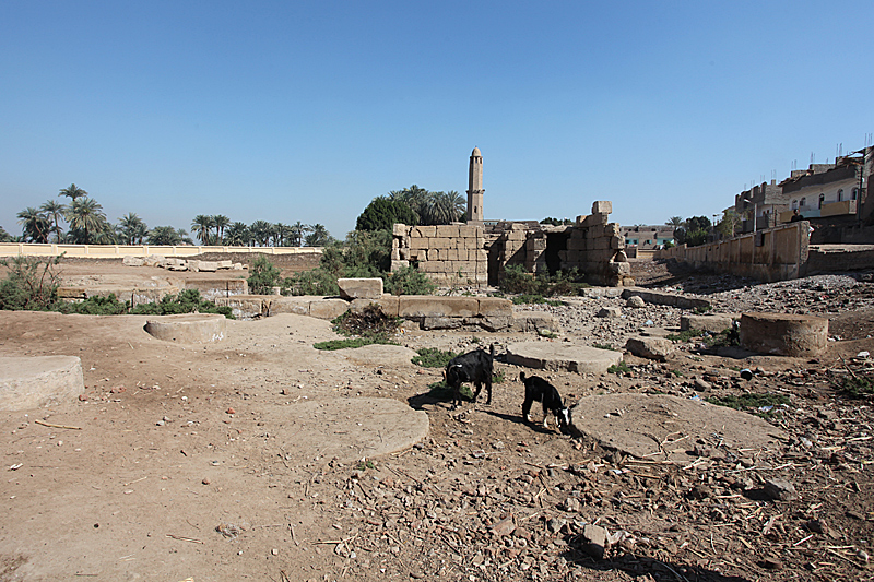 معبد شنهور