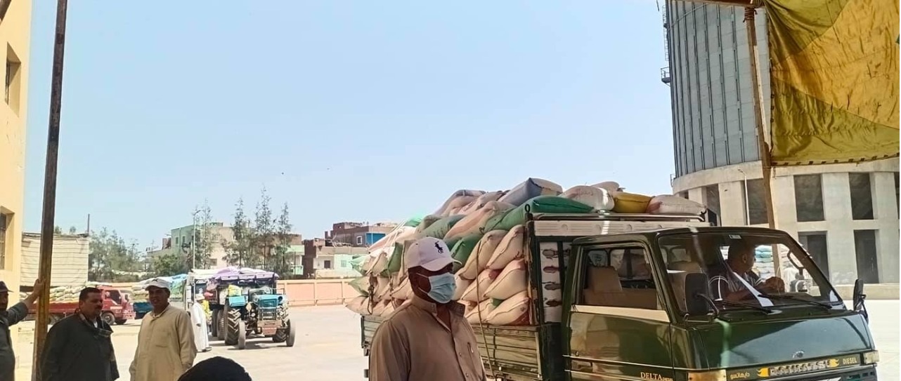 توريد القمح بالشون والصوامع بكفر الشيخ توريد القمح بالشون والصوامع بكفر الشيخ