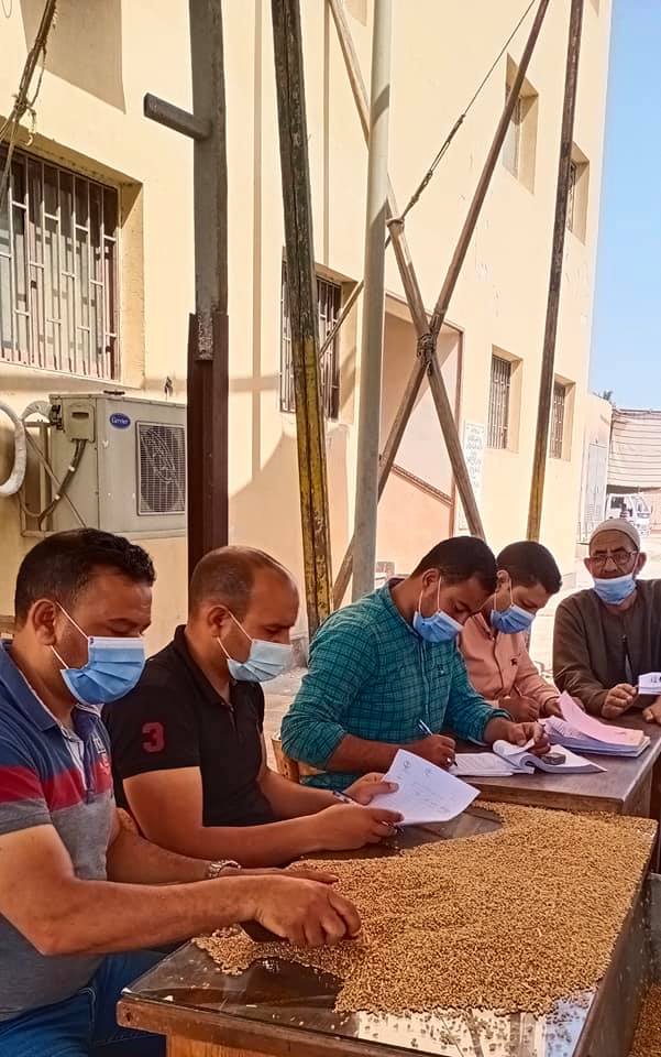 لجنة معاينة القمح بصومعة كفر الشيخ لجنة معاينة القمح بصومعة كفر الشيخ