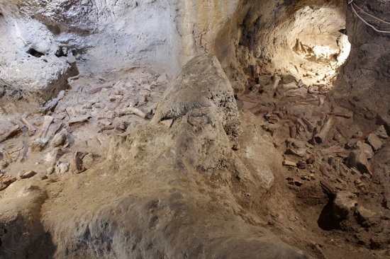 اكتشف علماء الآثار الإيطاليون البقايا المتحجرة