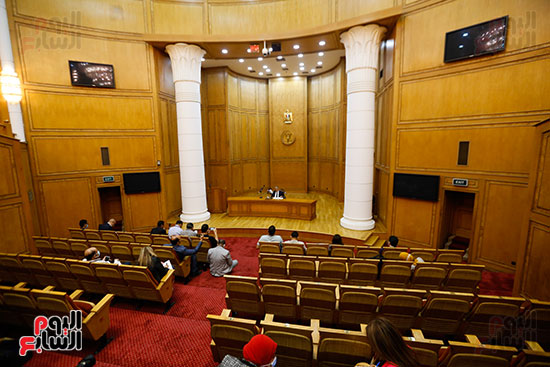 المحكمة الدستورية  (13)