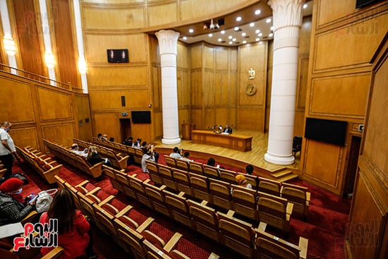 المحكمة الدستورية  (9)