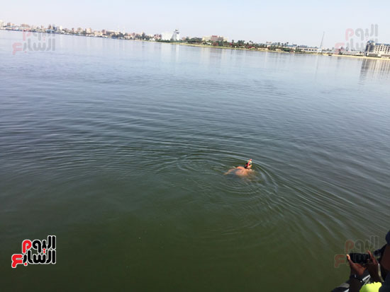 السباح-العالمى-سيد-الباروكى-يعبر-قناة-السويس--(5)