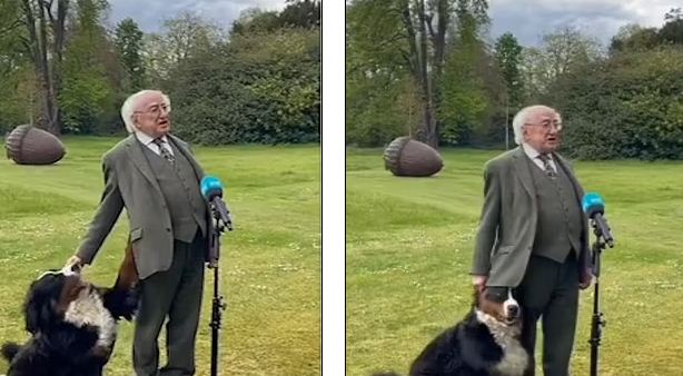رئيس ايرلندا مع الكلب