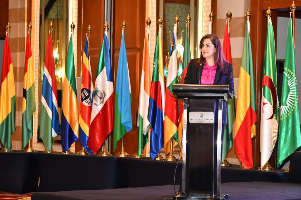 وزيره التخطيط اثناء كلمتها