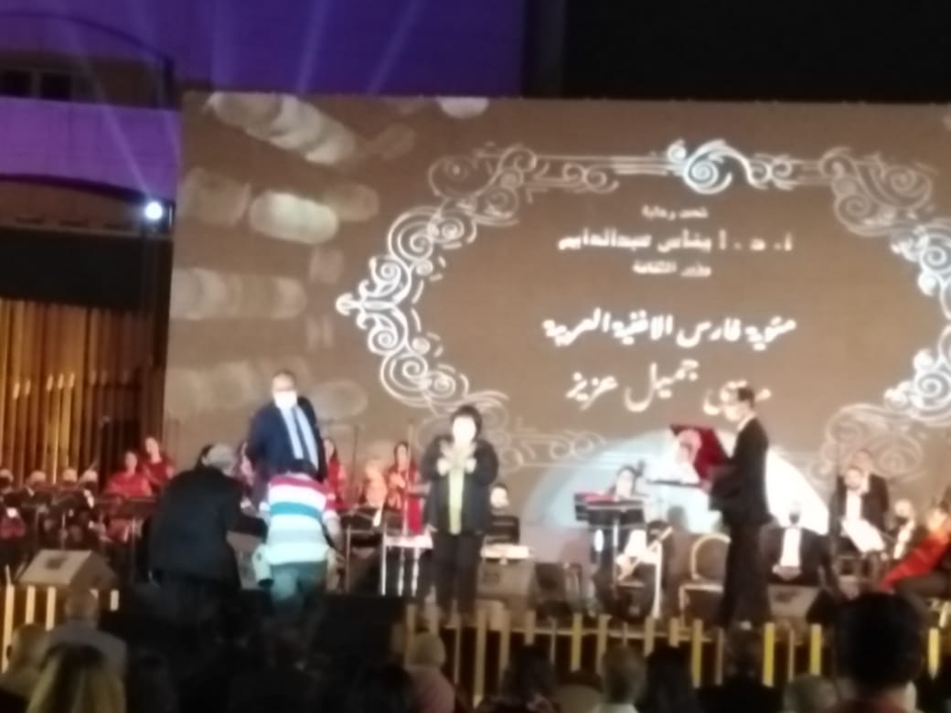 وزيرة الثقافة تكرم نجل مرسى جميل عزيز (5)