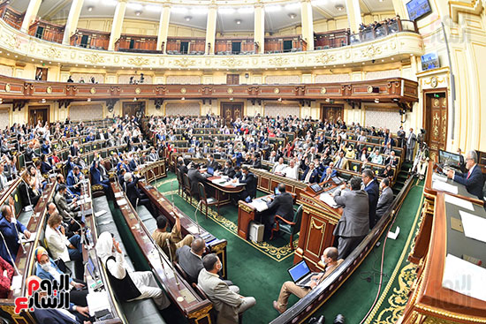 الجلسة العامة لمجلس النواب (18)