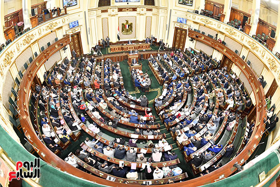 الجلسة العامة لمجلس النواب (7)