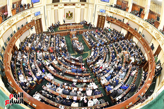 الجلسة العامة لمجلس النواب (8)