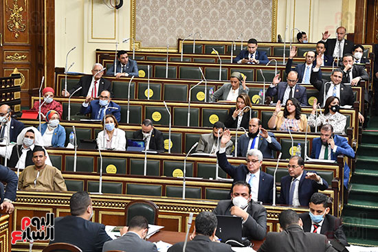 الجلسة العامة لمجلس النواب (14)
