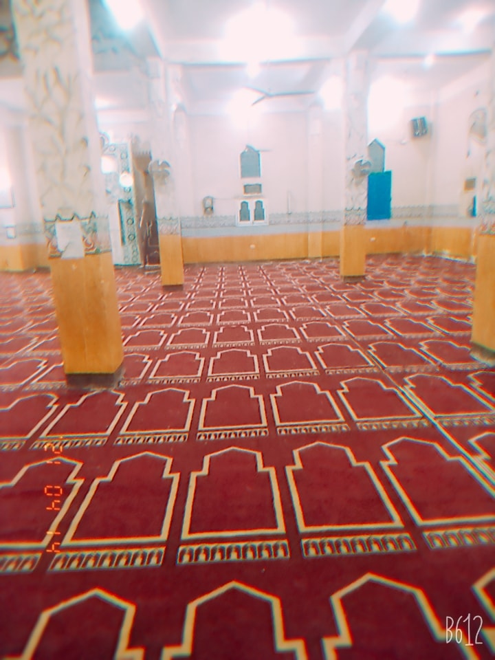 فرش مسجد جمال عبد الناصر بالطود بالسجاد الجديد