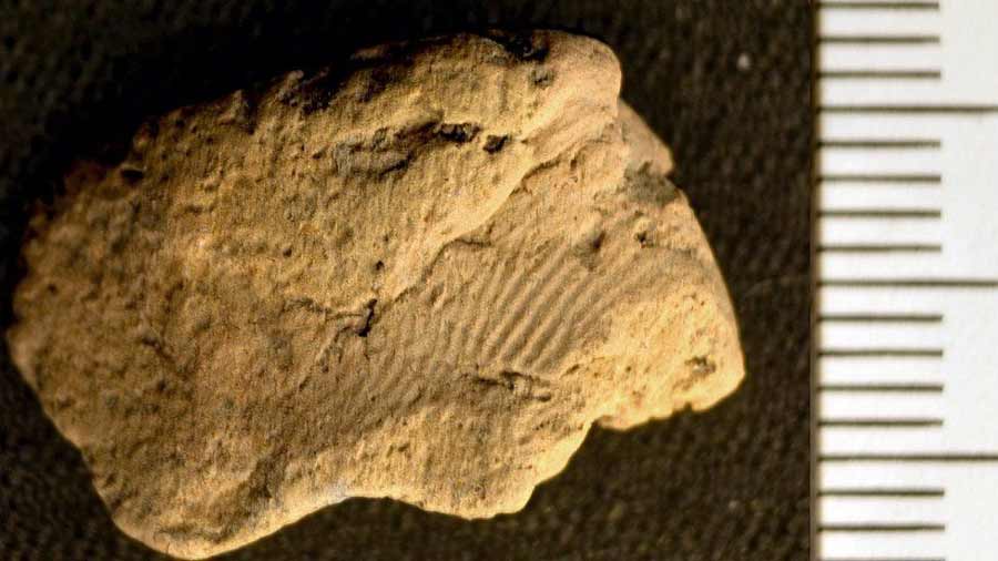 Neolithic-fingerprint