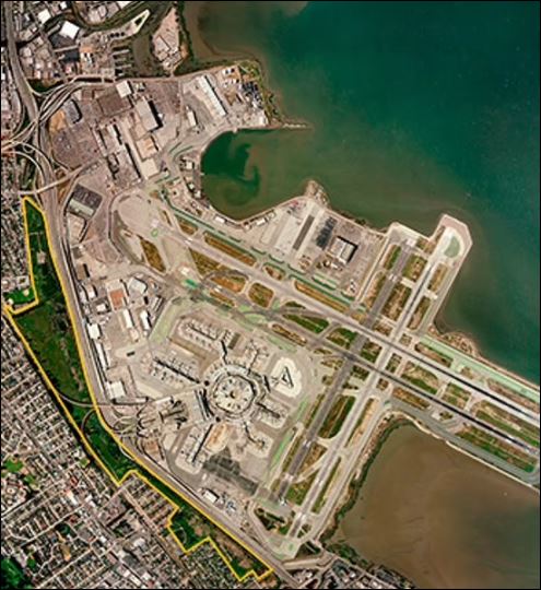 1300 ثعبان من نوع مهدد بالانقراض يعيش بجوار مطار سان فرانسيسكو (4)