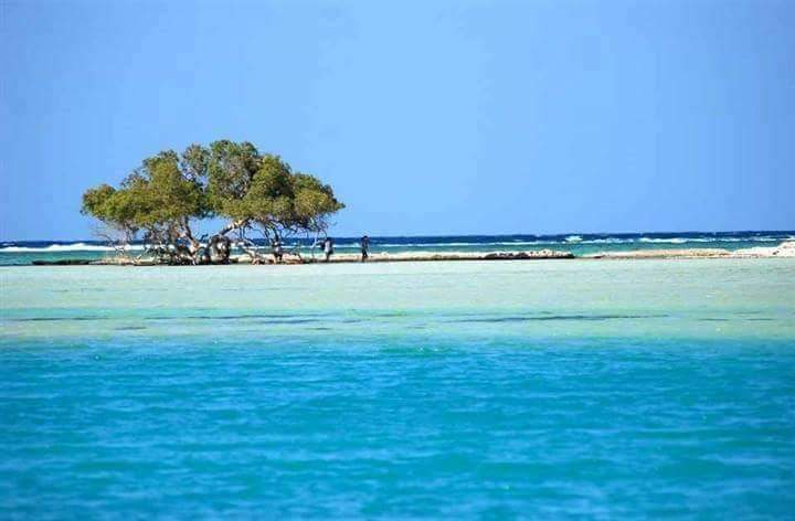 "مالديف مصر".. بـ25 جنيه فقط قم بزيارة أجمل شواطئ العالم فى مرسى علم|بالصور
