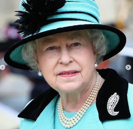 الملكة الليزابيث ترتدي بروش ورقة النخيل مه اطلاله باللون الازرق الفاتح
