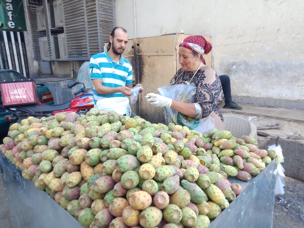 خلال بيع التين الشوكى ببنها