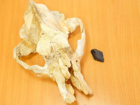 تم اكتشاف جمجمة في كهف إيماناي في روسيا