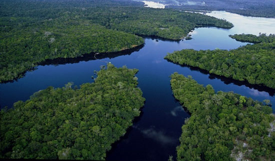 غابات الأمازون (9)