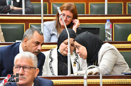 جلسة مجلس النواب برئاسة المستشار الدكتور حنفي جبالي (24)