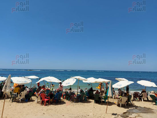 المصطفين-علي-الشاطئ