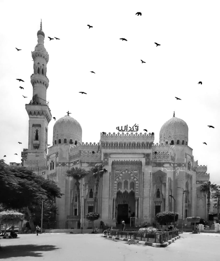 تصوير المسجد