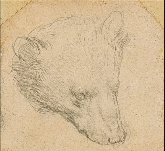 لوحة راس الدب