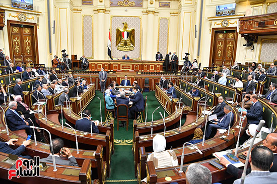 مجلس النواب (33)