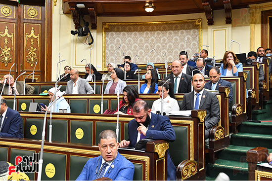 مجلس النواب (21)